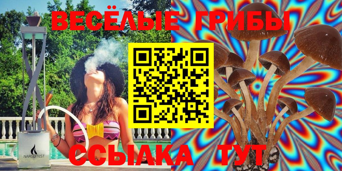 Братск  Галлюциногенные грибы Psilocybine cubensis  Вход с VPN 